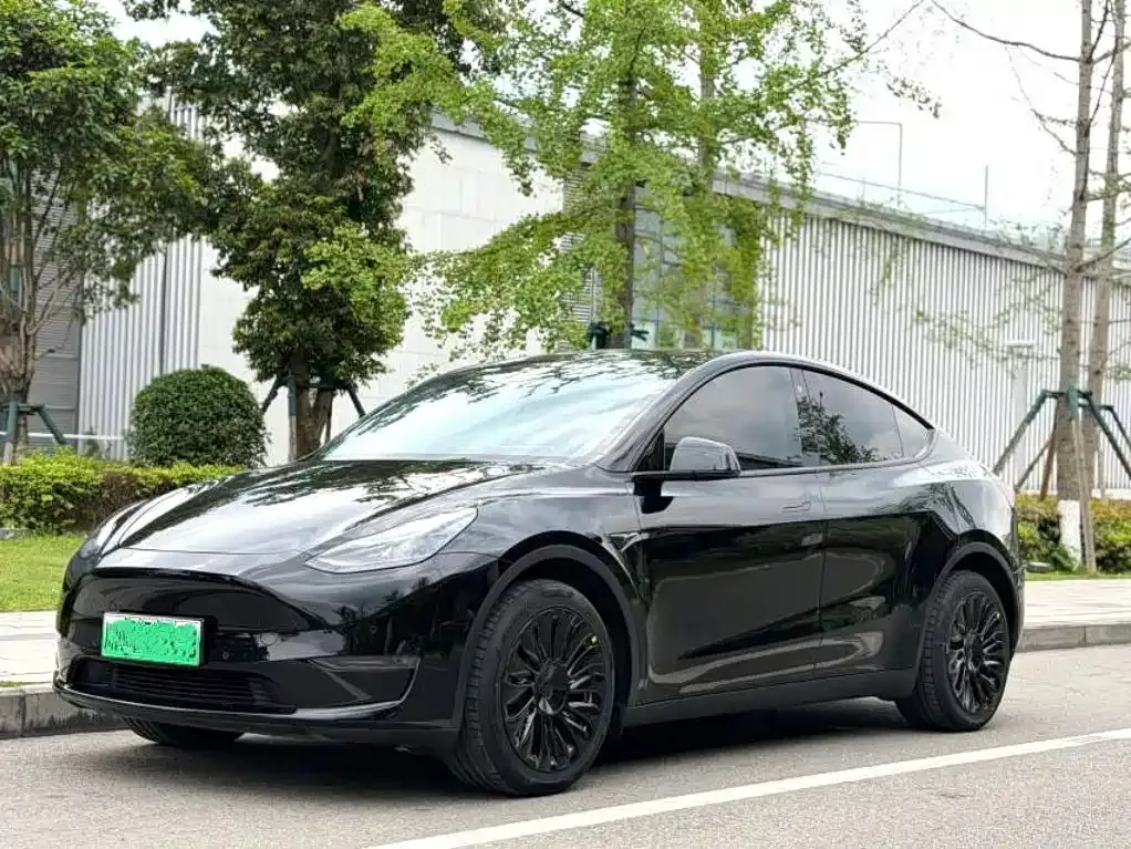 Tesla Model Y — фото 1