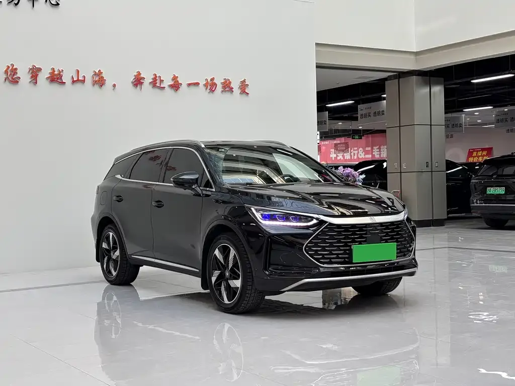 BYD Tang New Energy — фото 7