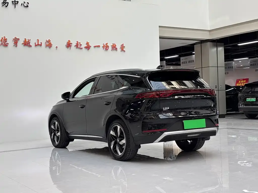 BYD Tang New Energy — фото 9
