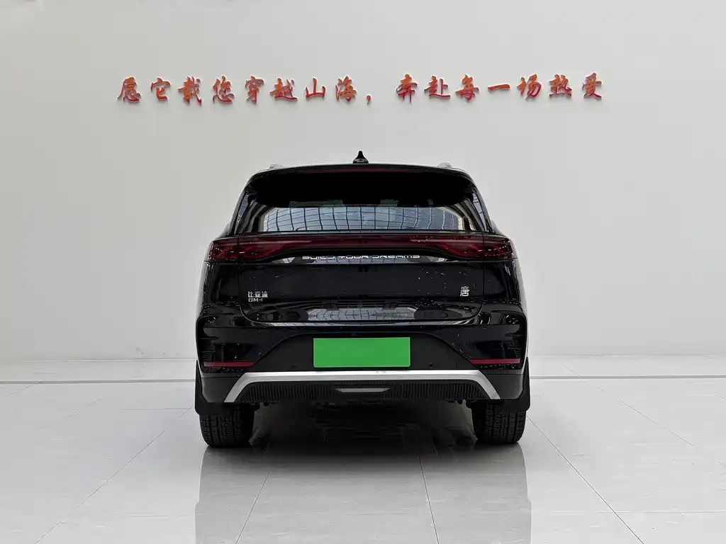 BYD Tang New Energy — фото 2