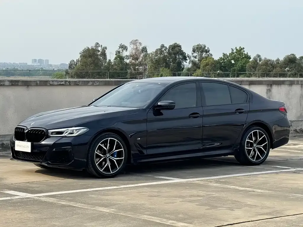 BMW 5 Series (Import) — фото 9