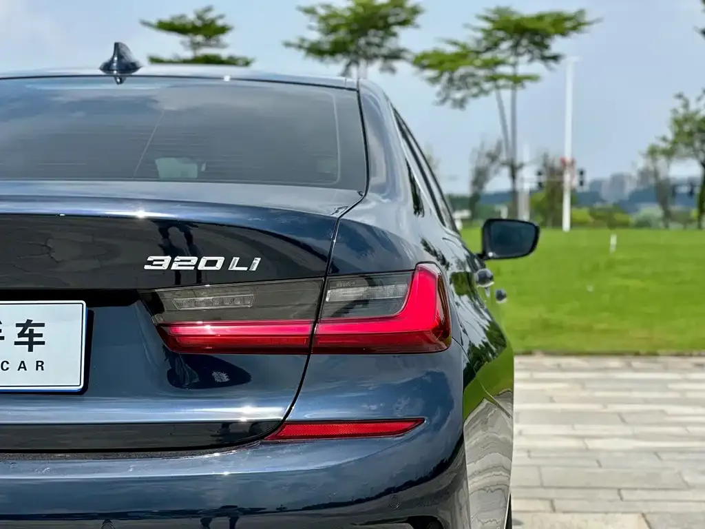 BMW 3 Series 2021 из CN, фото 3