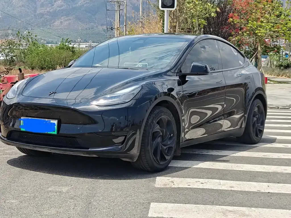 Tesla Model Y — фото 1