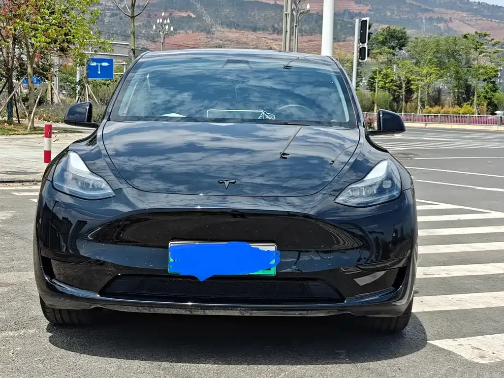 Tesla Model Y — фото 4
