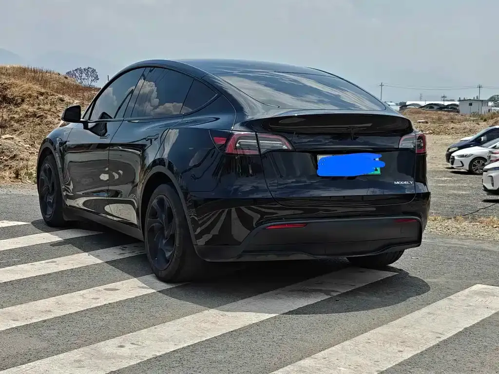 Tesla Model Y — фото 3