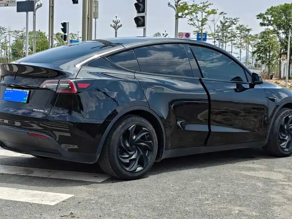 Tesla Model Y — фото 5
