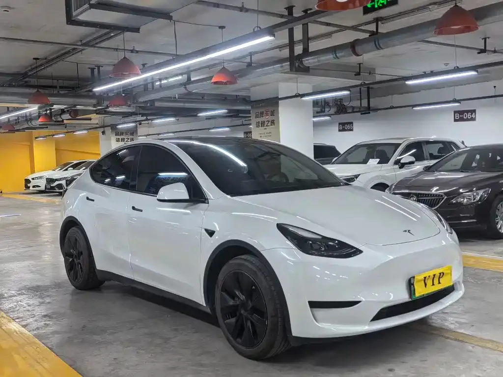Tesla Model Y — фото 9