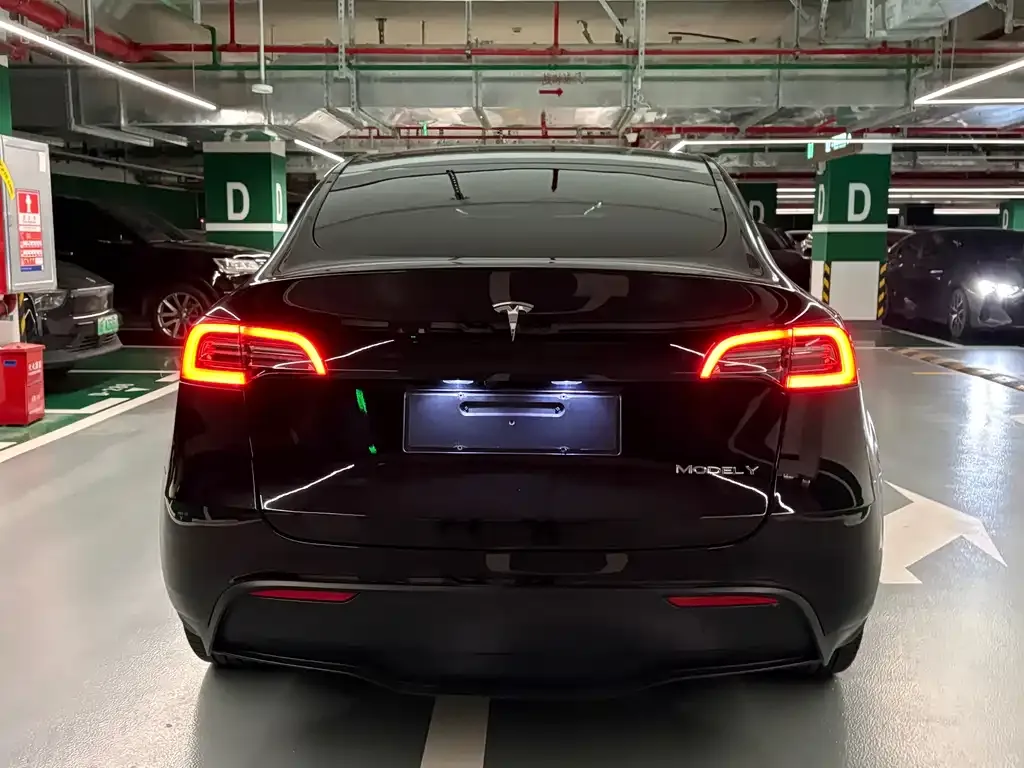 Tesla Model Y — фото 9