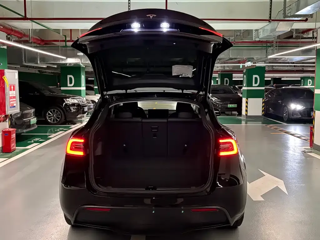 Tesla Model Y — фото 7