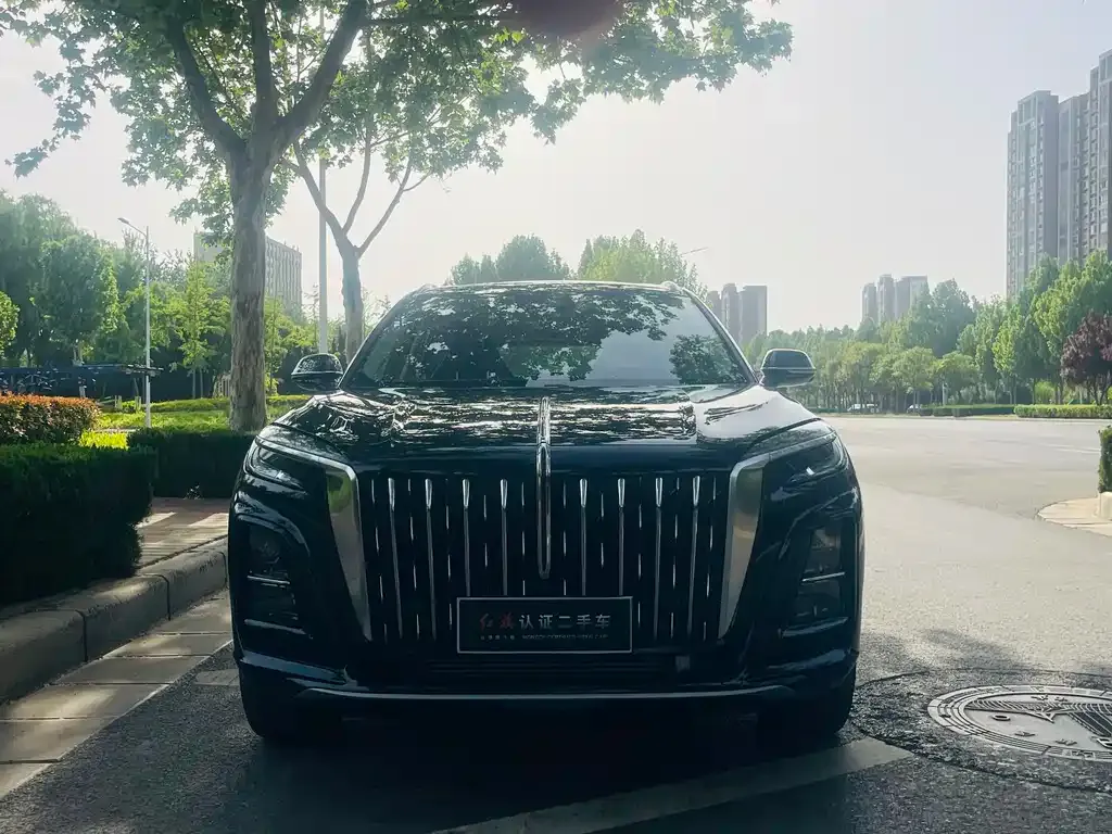Hongqi HS3 PHEV 2024 из CN, фото 4