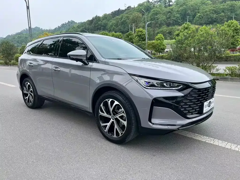 BYD Tang New Energy — фото 10