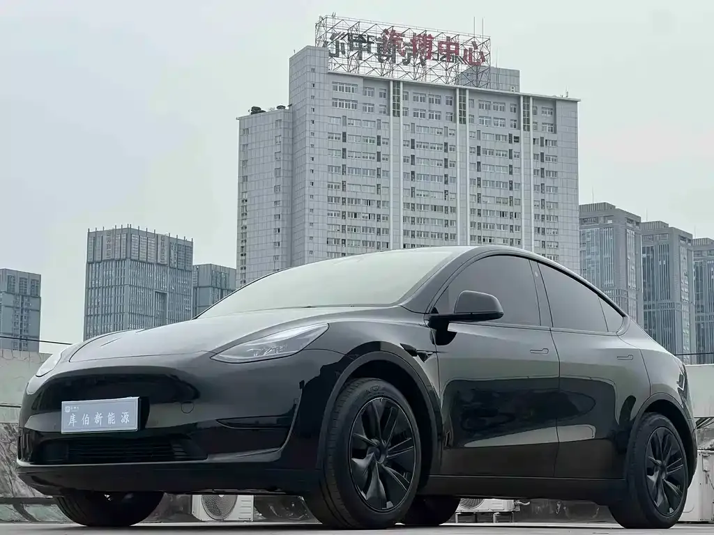 Tesla Model Y — фото 1