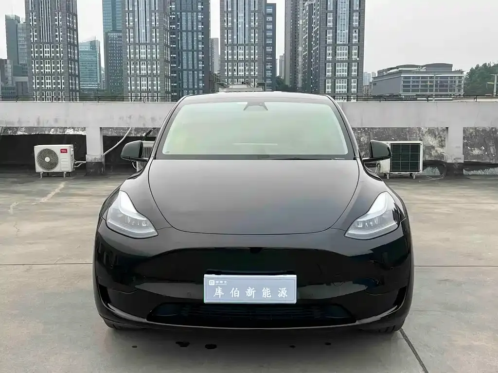 Tesla Model Y — фото 7