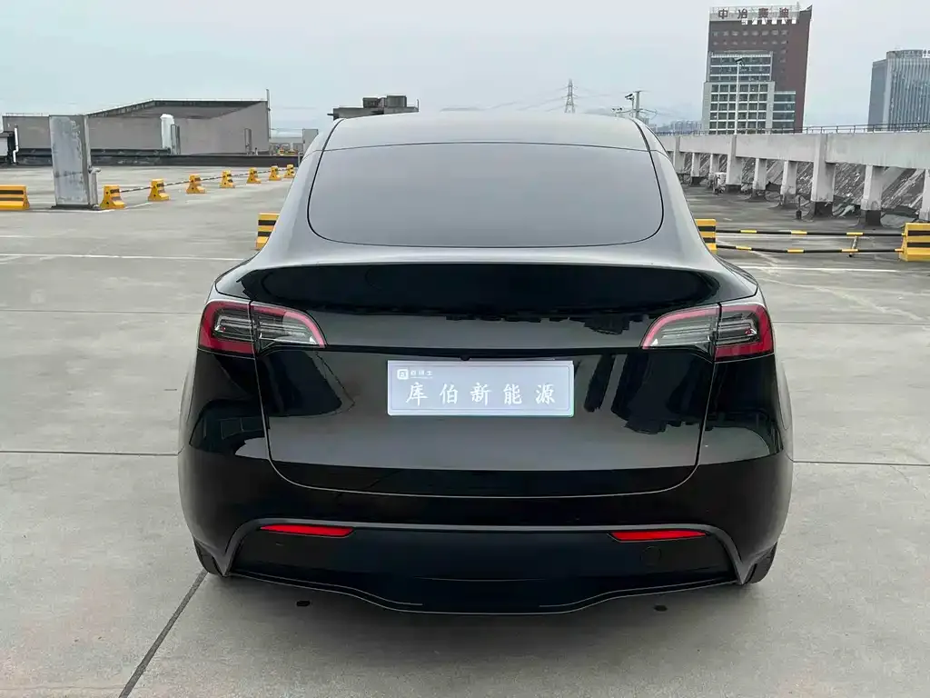 Tesla Model Y — фото 6