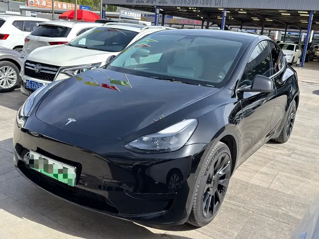 Tesla Model Y — фото 1