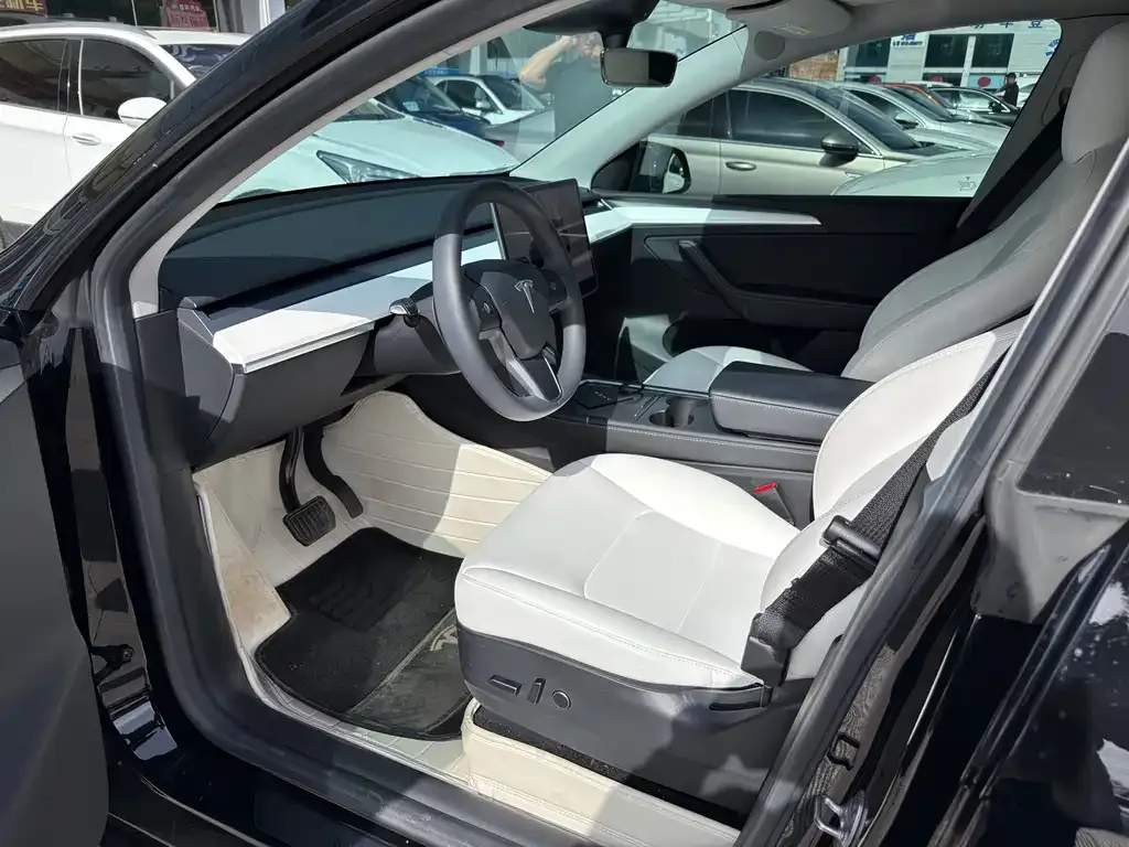 Tesla Model Y — фото 10