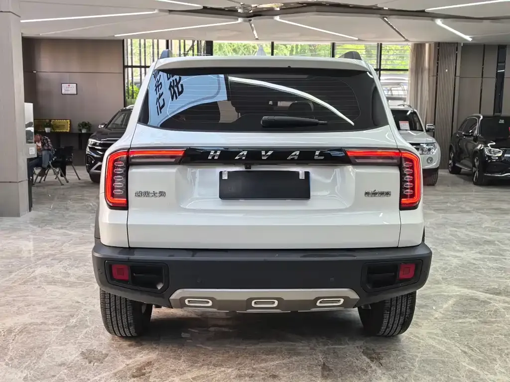Haval Big Dog 2023 из CN, фото 3