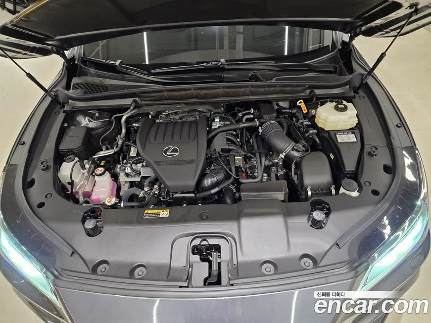 Lexus RX 2024 из KR, фото 10