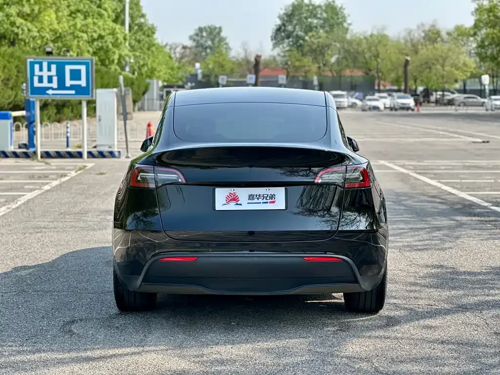 Tesla Model Y — фото 2