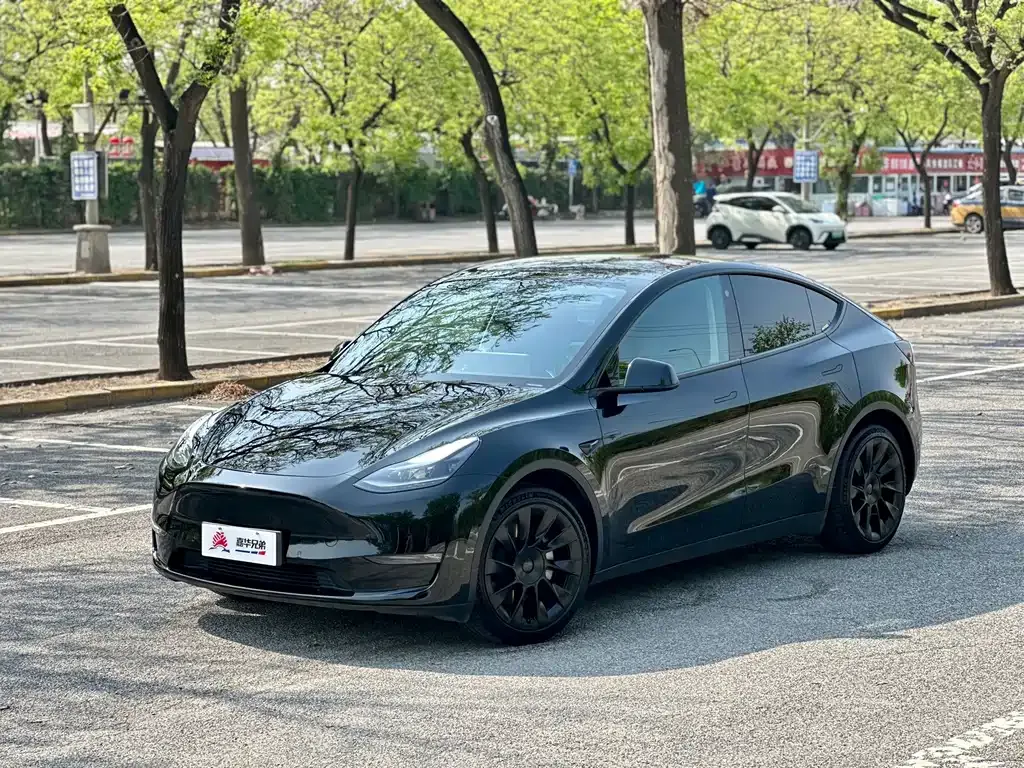 Tesla Model Y — фото 3