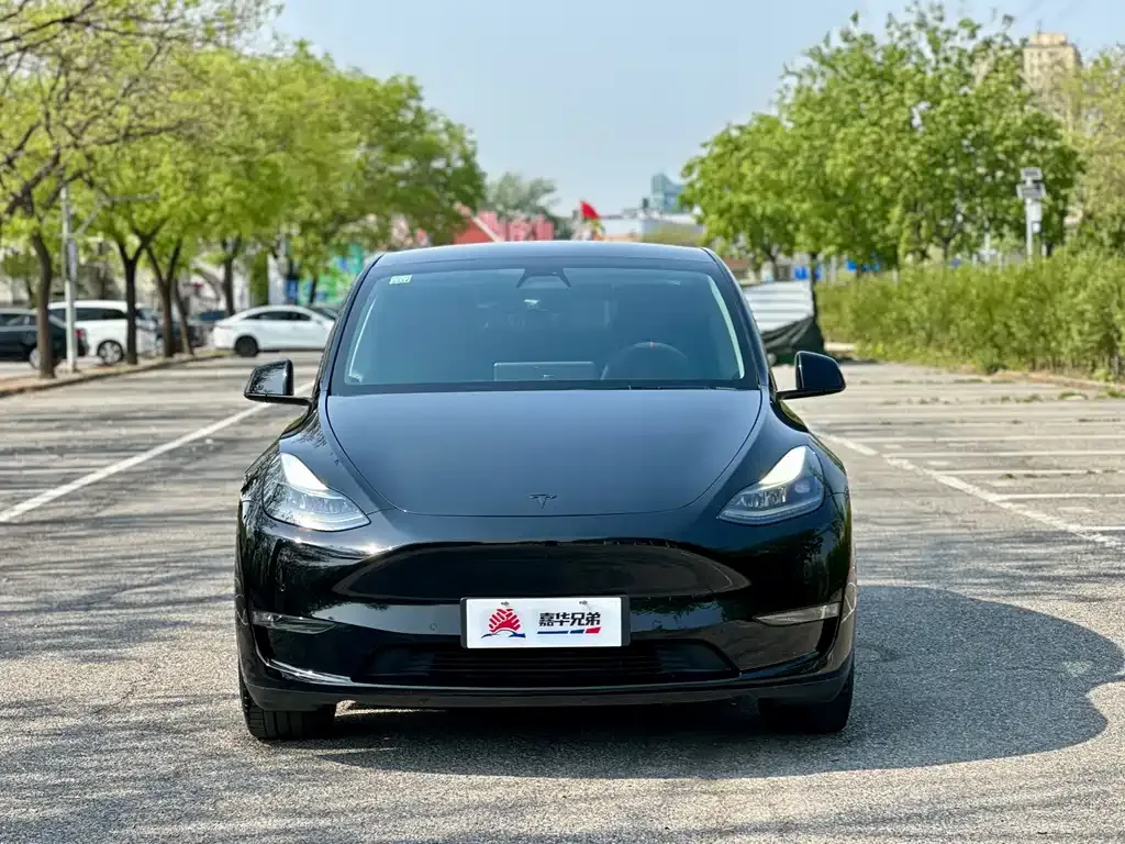 Tesla Model Y — фото 8