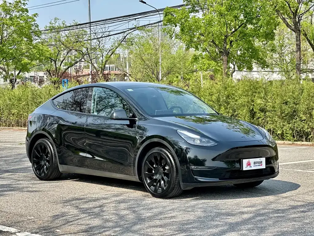 Tesla Model Y — фото 10