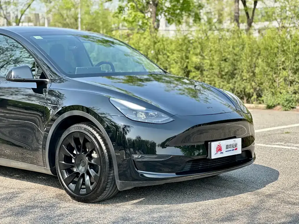 Tesla Model Y — фото 6
