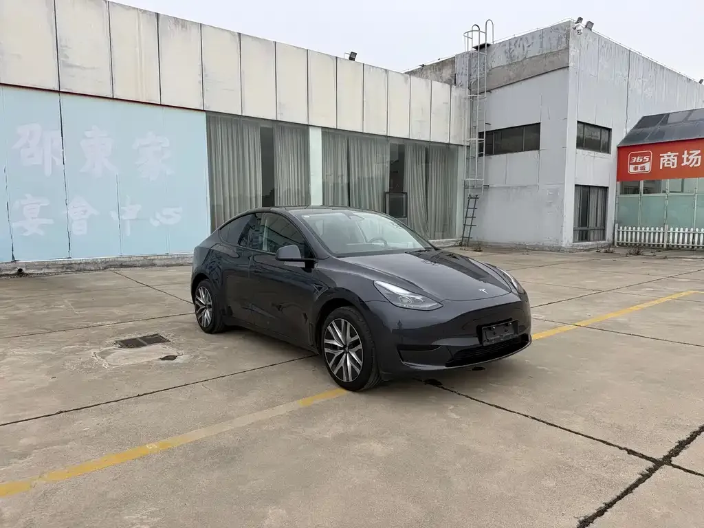 Tesla Model Y — фото 1