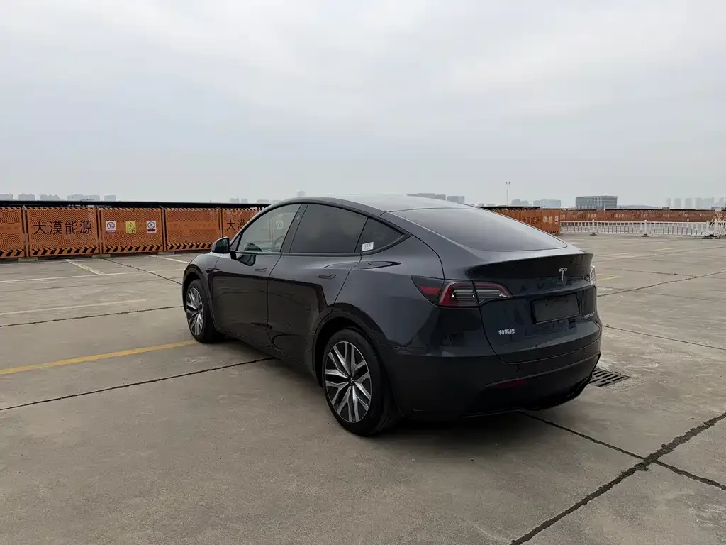 Tesla Model Y — фото 3