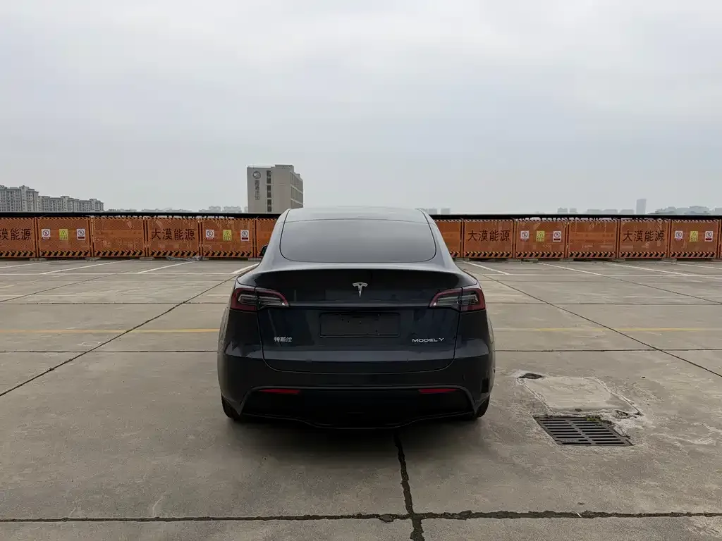 Tesla Model Y — фото 9