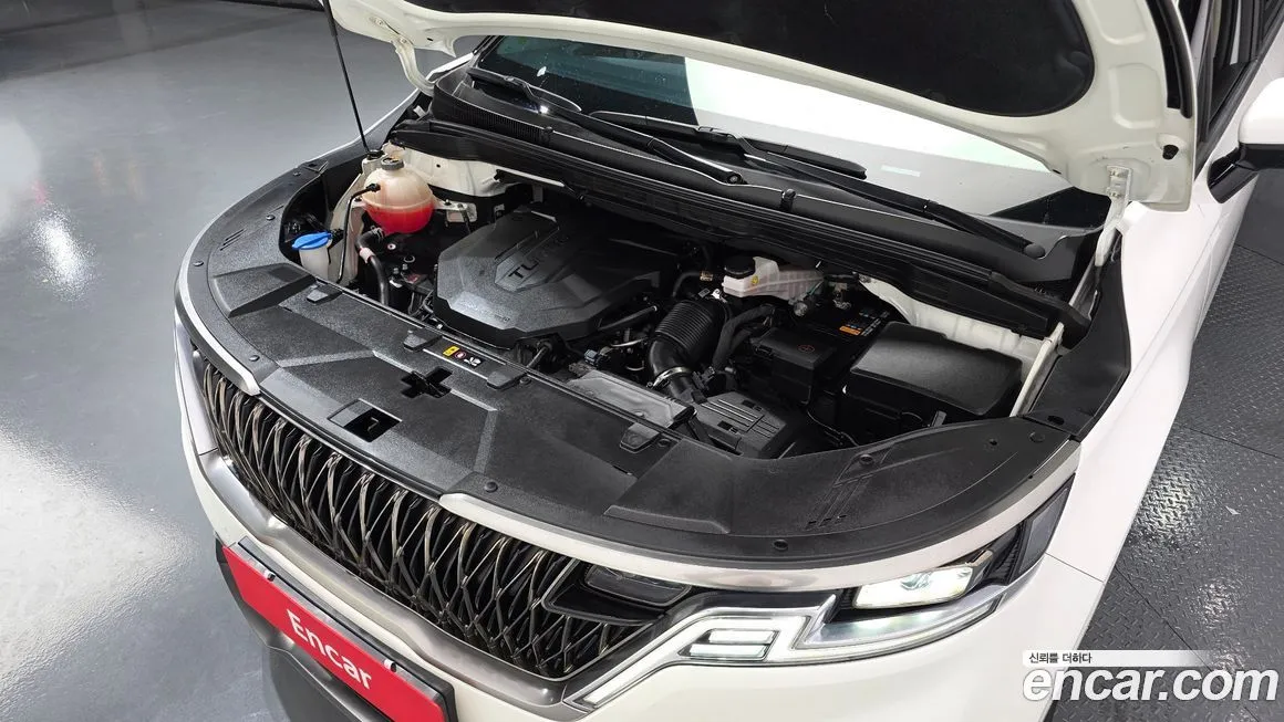 Kia Carnival — фото 10