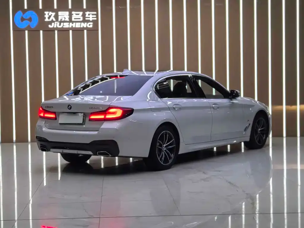 BMW 5 Series New Energy — фото 4