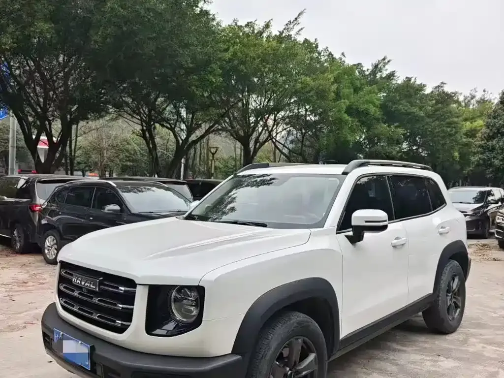 Haval Big Dog