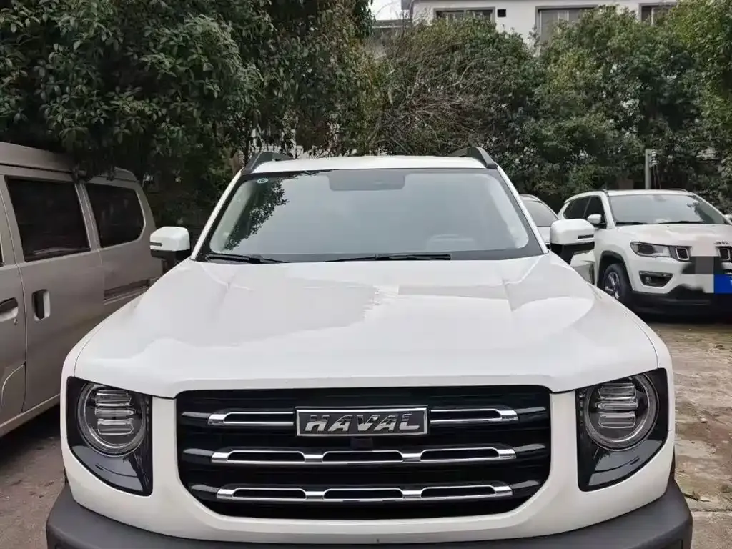 Haval Big Dog 2023 из CN, фото 2