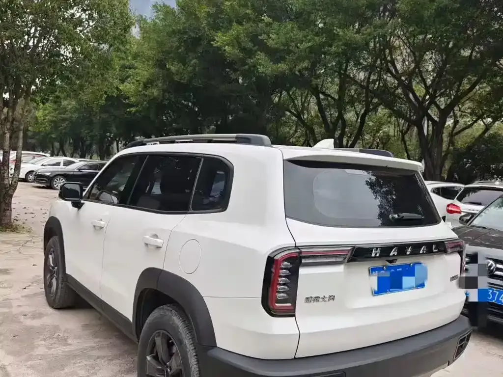 Haval Big Dog 2023 из CN, фото 7