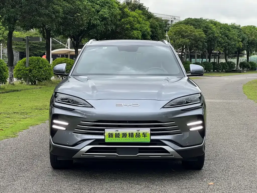BYD PLUS New Energy — фото 8