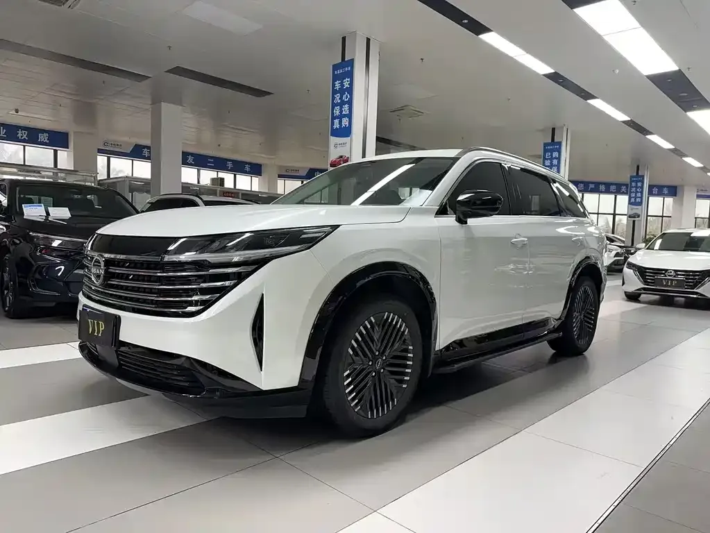 Nissan Teramont 2024 из CN, фото 1