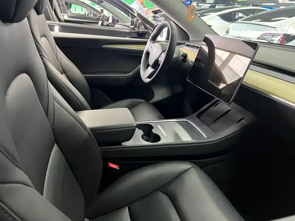 Tesla Model Y 2023 из CN, фото 6