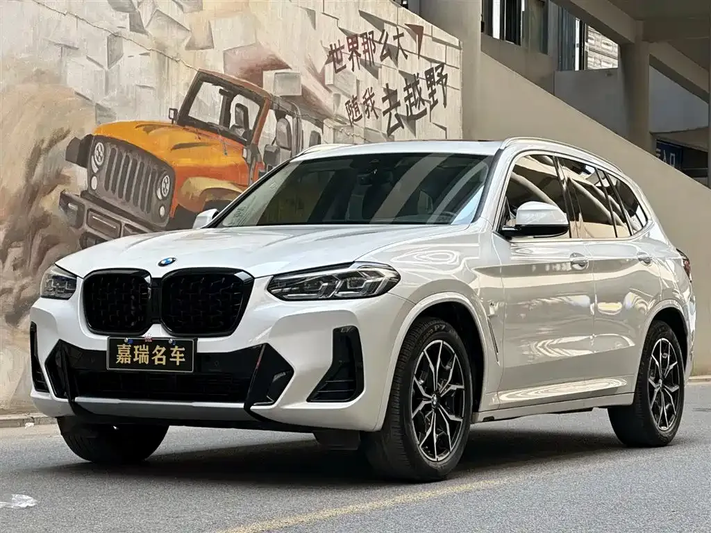 BMW X3 — фото 1