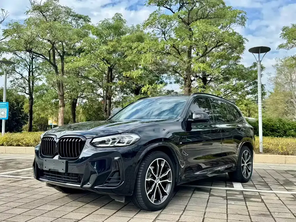 BMW X3 — фото 1