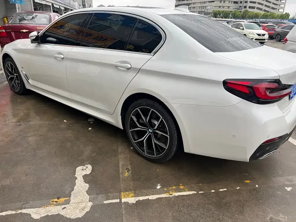 BMW 5 Series 2023 из CN, фото 9