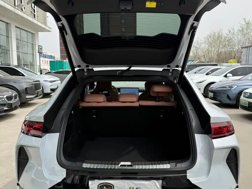 BYD L EV 2024 из CN, фото 4