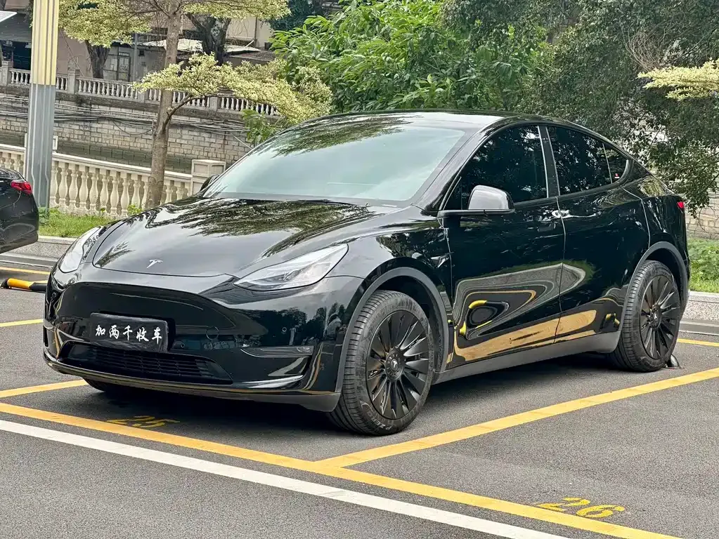 Tesla Model Y — фото 1