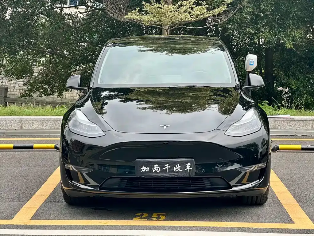 Tesla Model Y — фото 5