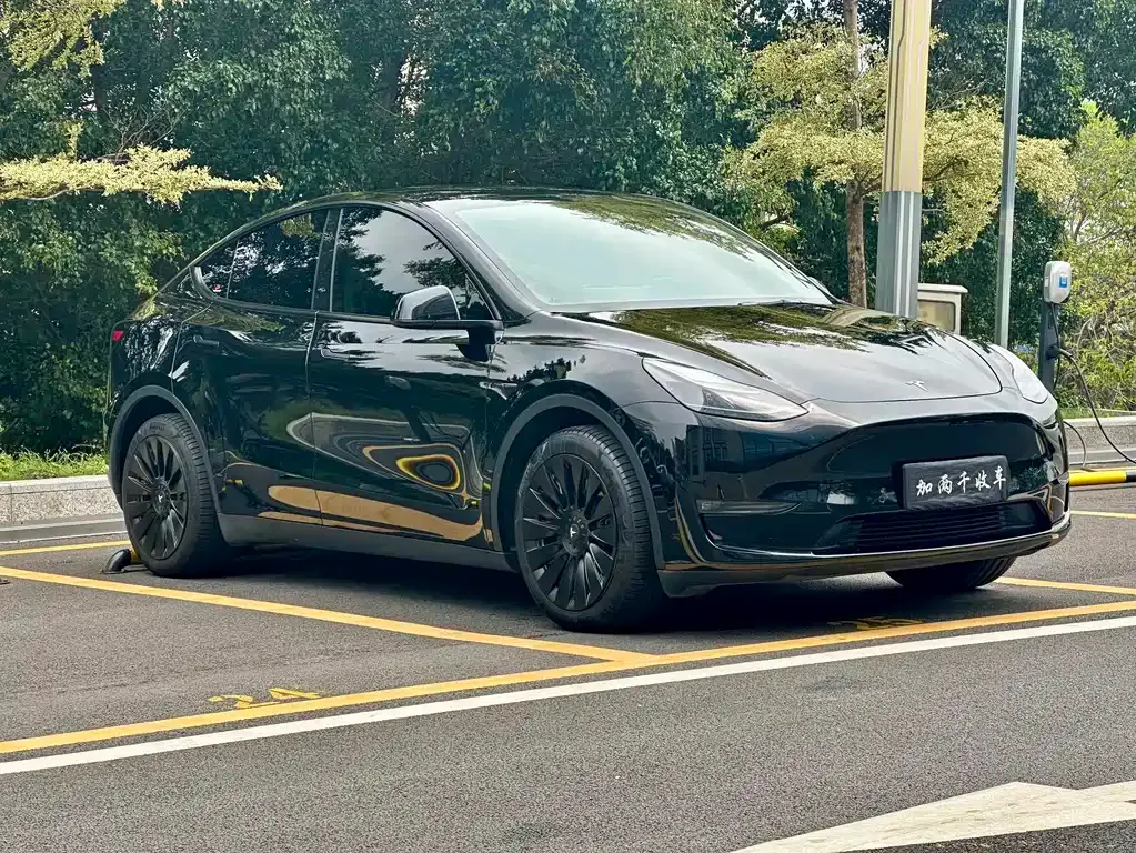 Tesla Model Y — фото 7