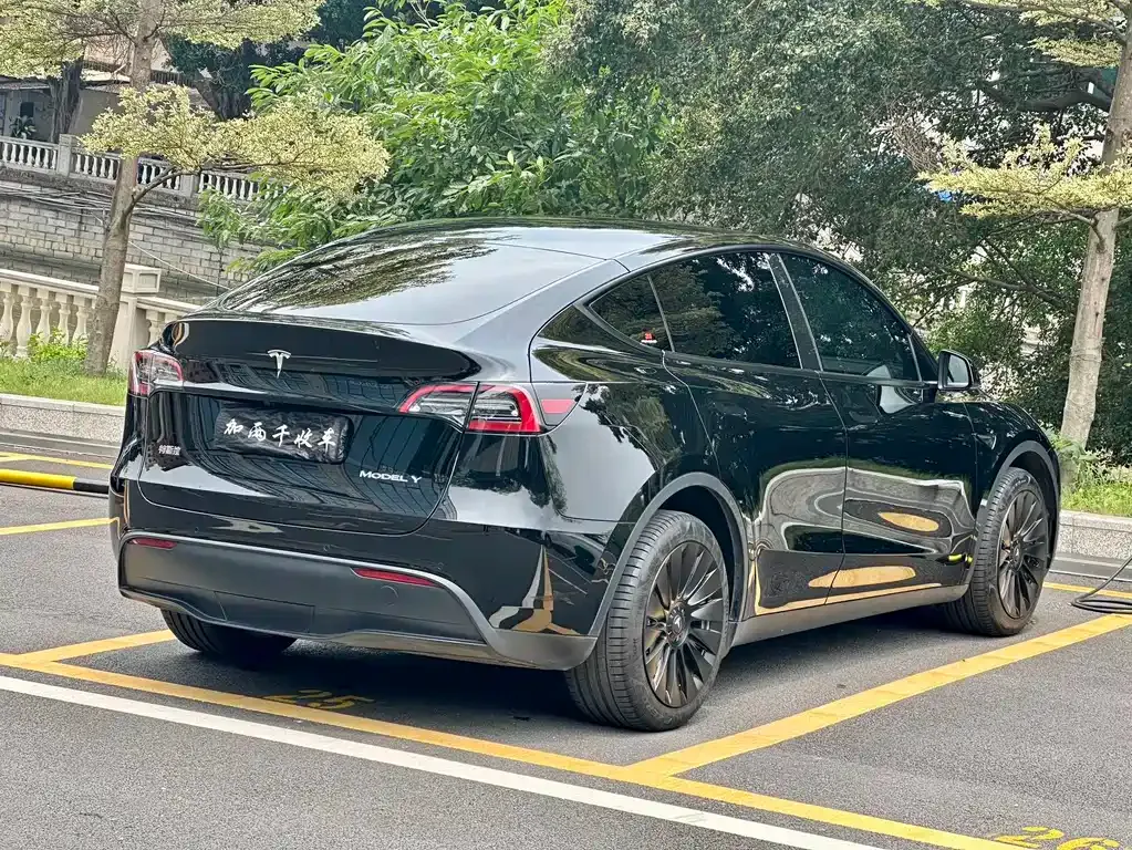 Tesla Model Y — фото 6
