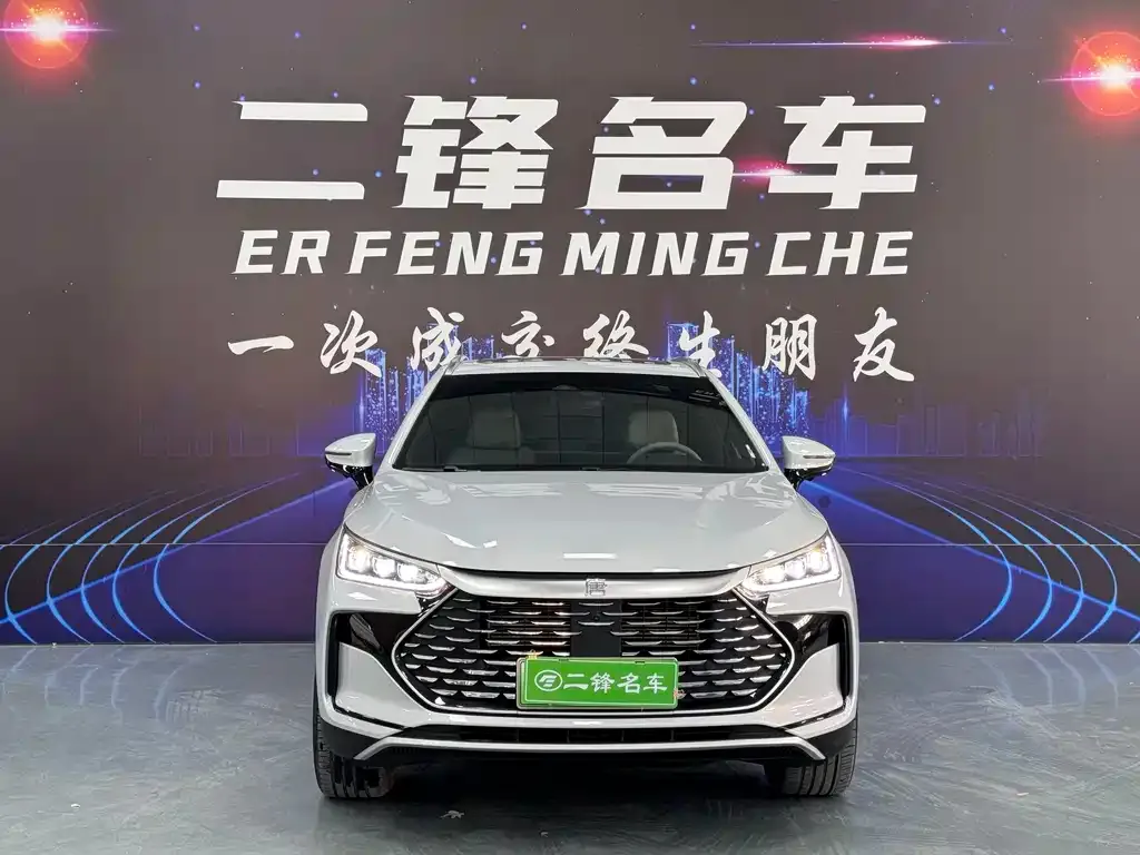 BYD Tang New Energy — фото 2