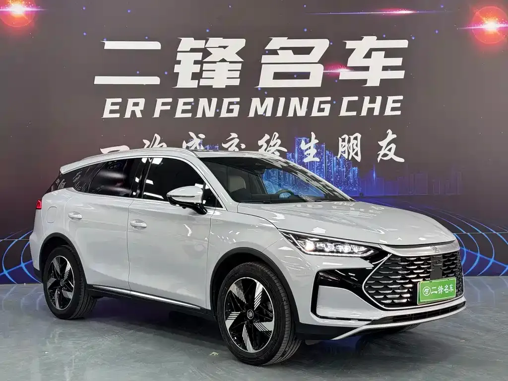 BYD Tang New Energy — фото 10