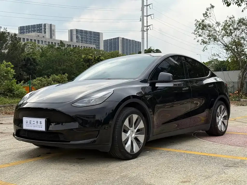 Tesla Model Y — фото 6
