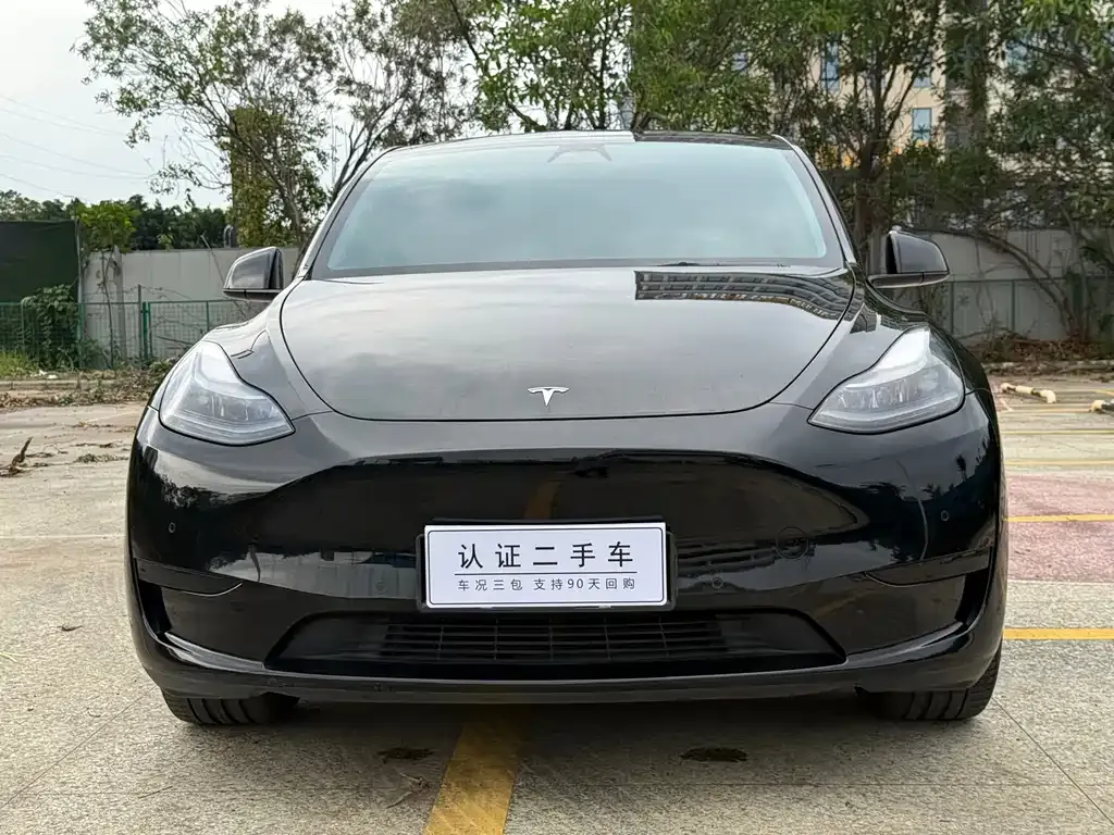 Tesla Model Y — фото 8